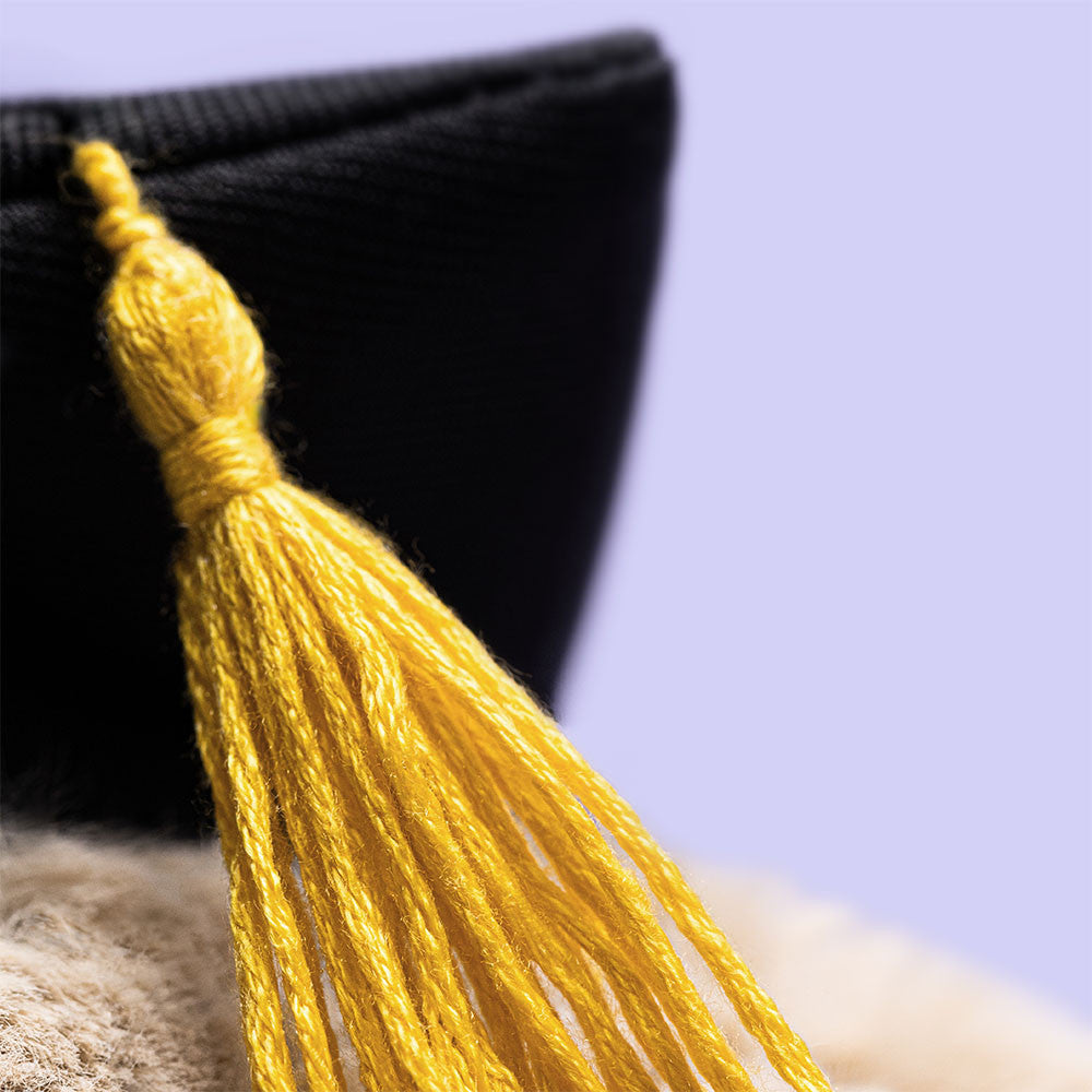 Bashful Graduation Bunny