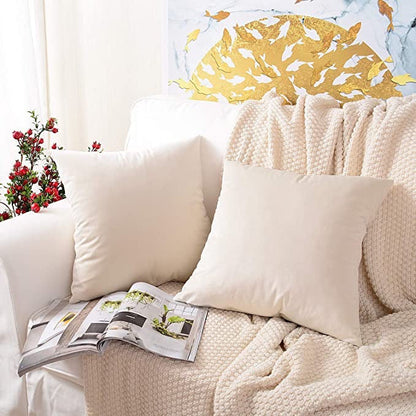 Velvet Cushion Covers