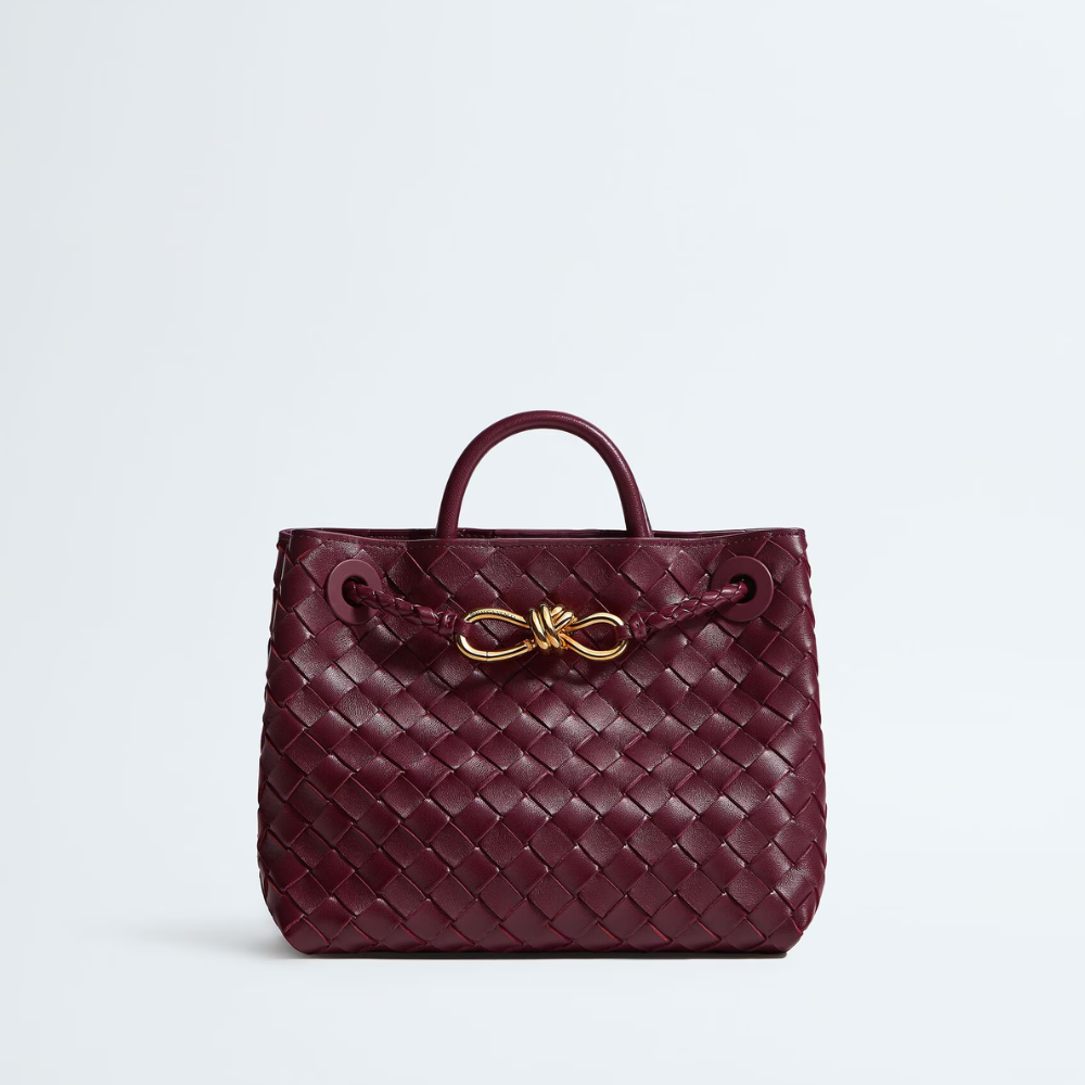 Bottega Veneta - Small Andiamo