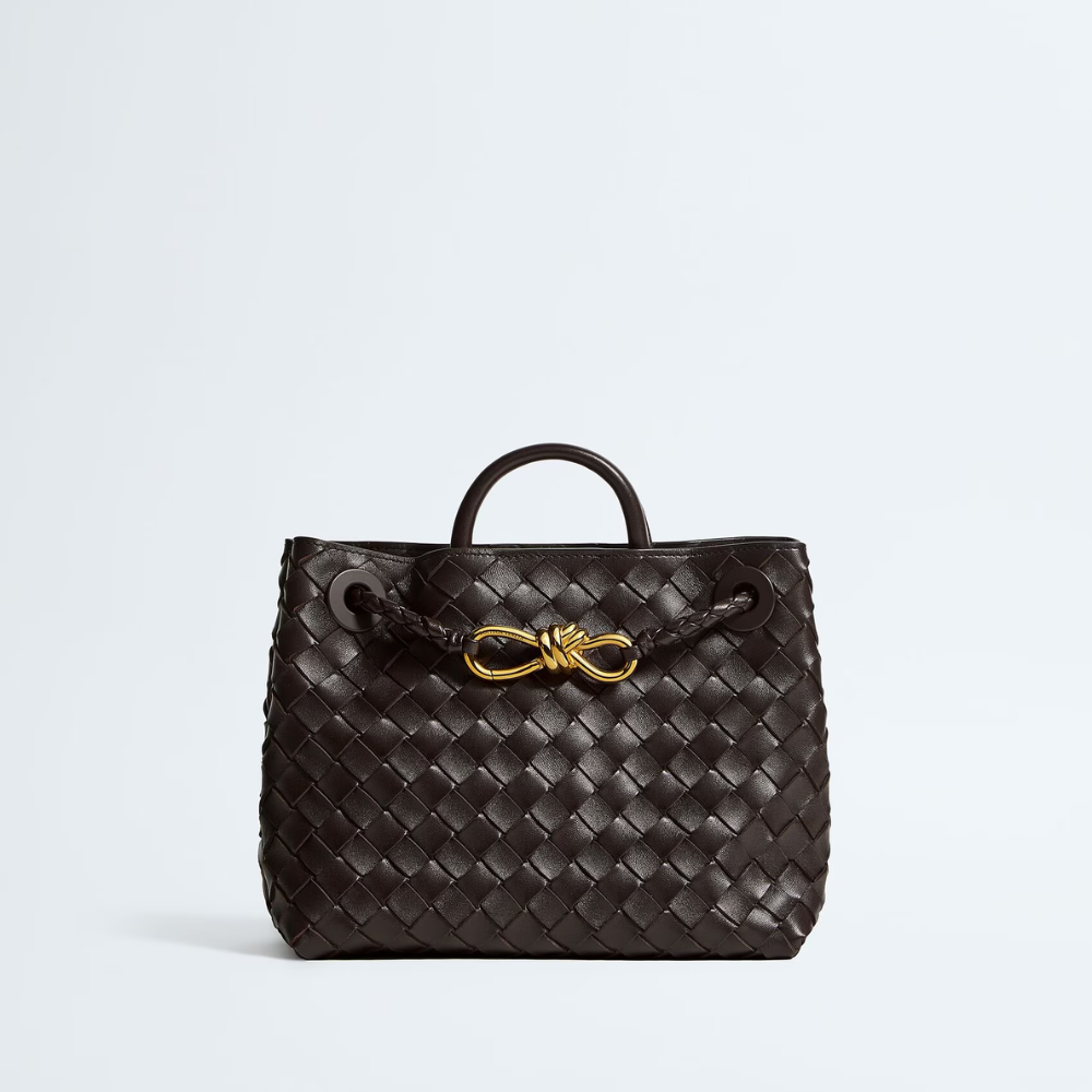 Bottega Veneta - Small Andiamo