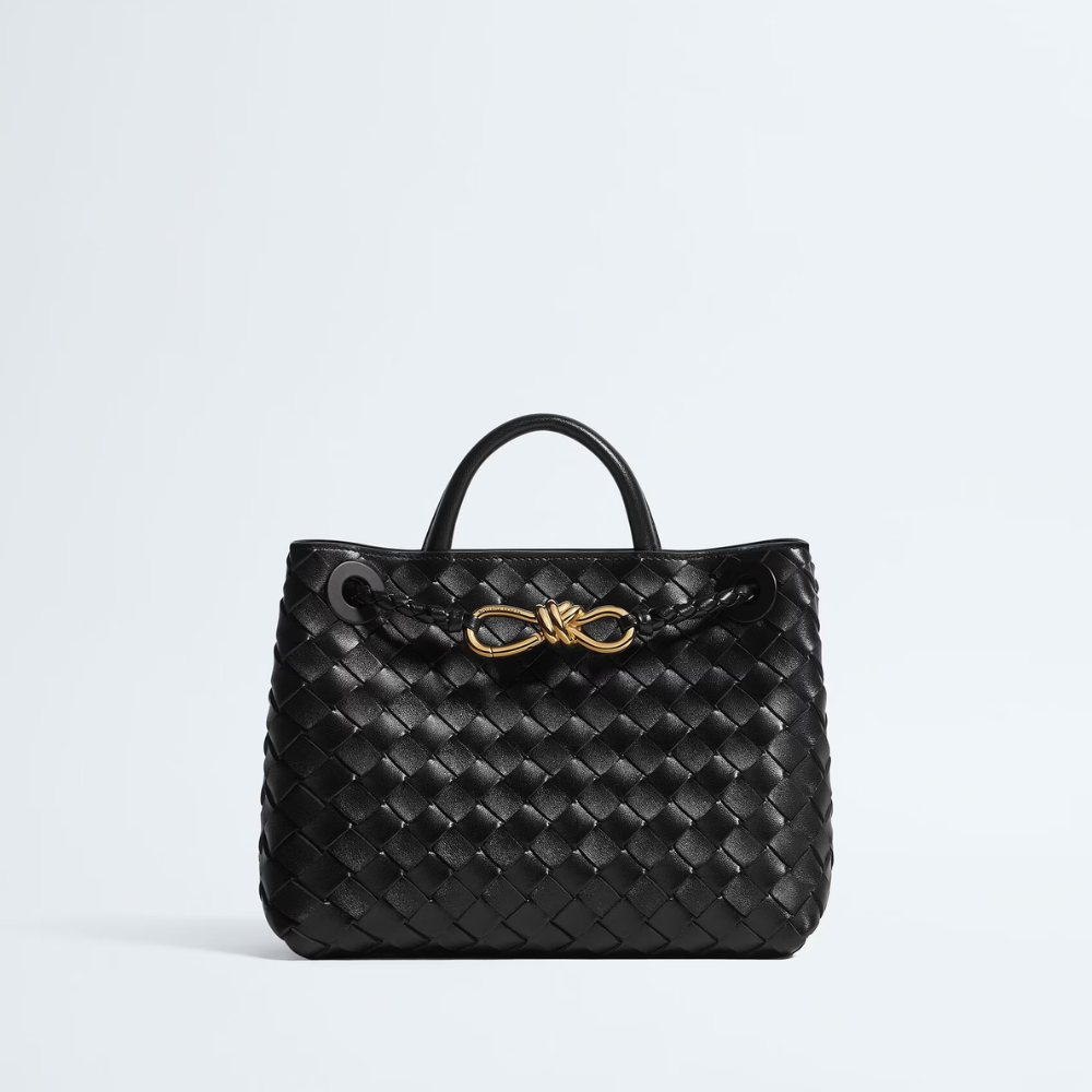 Bottega Veneta - Small Andiamo