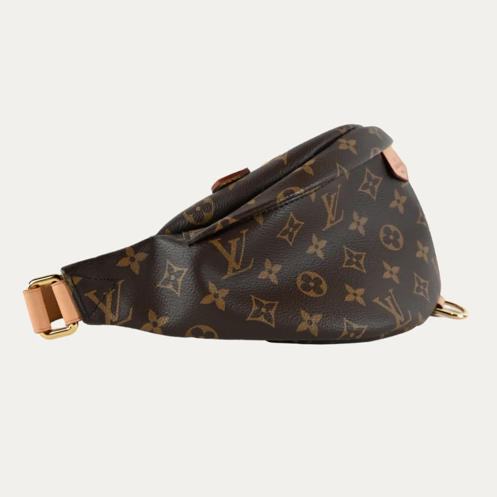 LV Monogram Bumbag