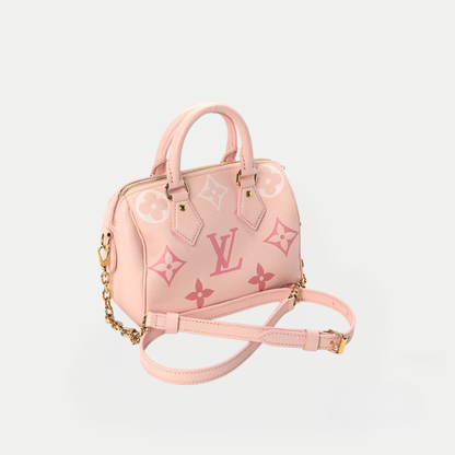 LV Nano Speedy Monogram