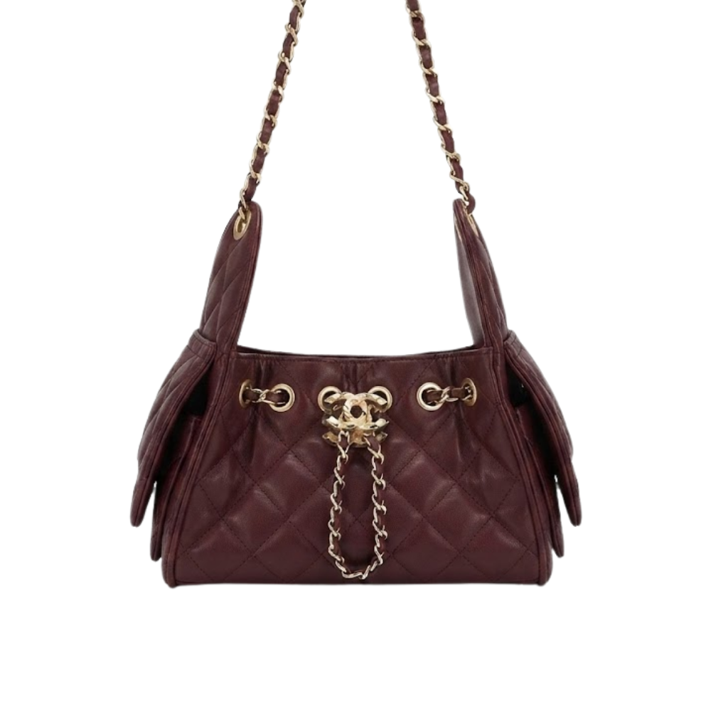 Chanel 25 Bag