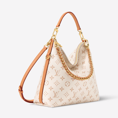 LV Multipass Bag