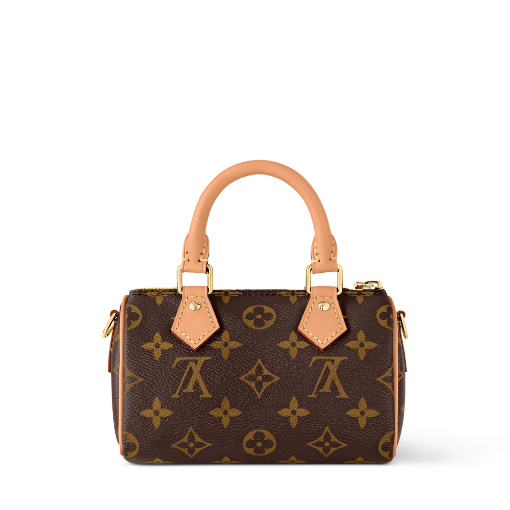 LV Nano Speedy Monogram