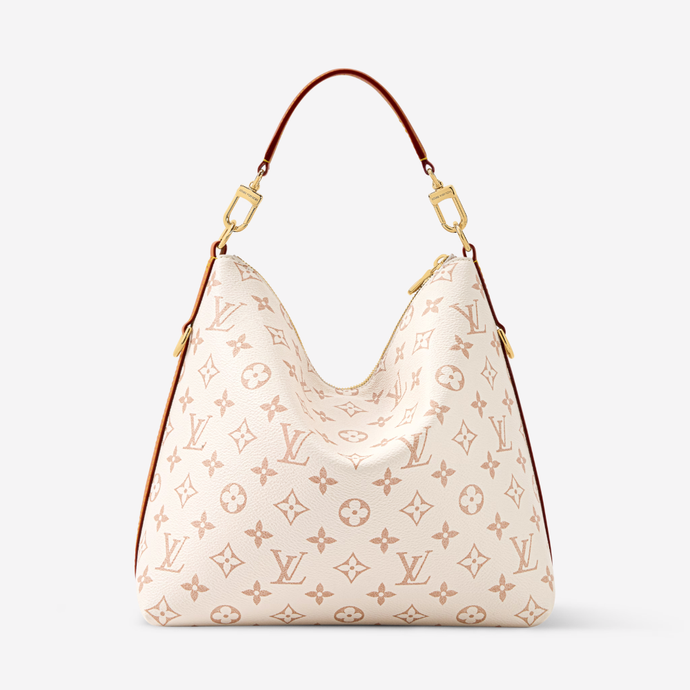 LV Multipass Bag