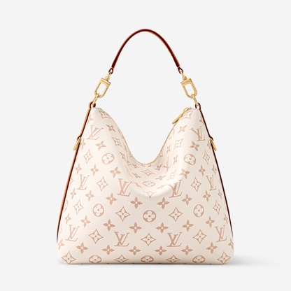 LV Multipass Bag