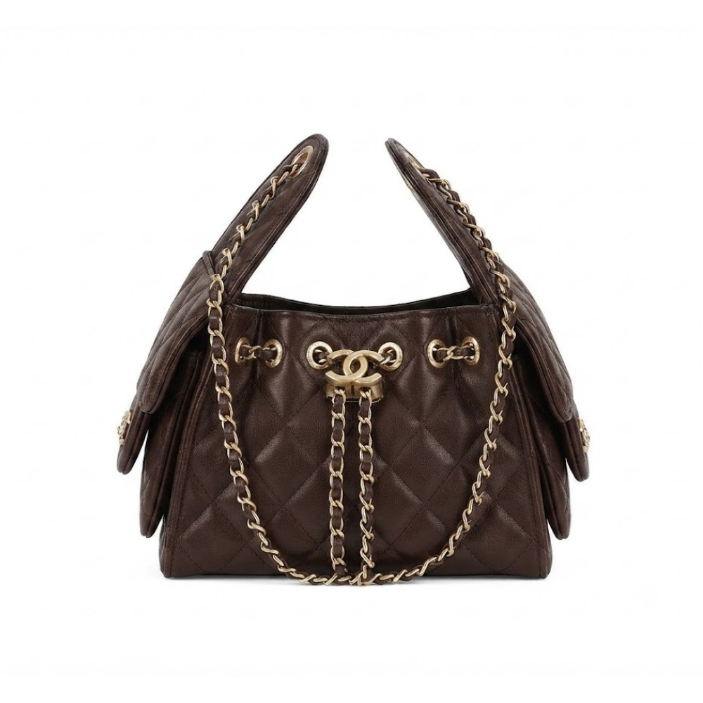 Chanel 25 Bag