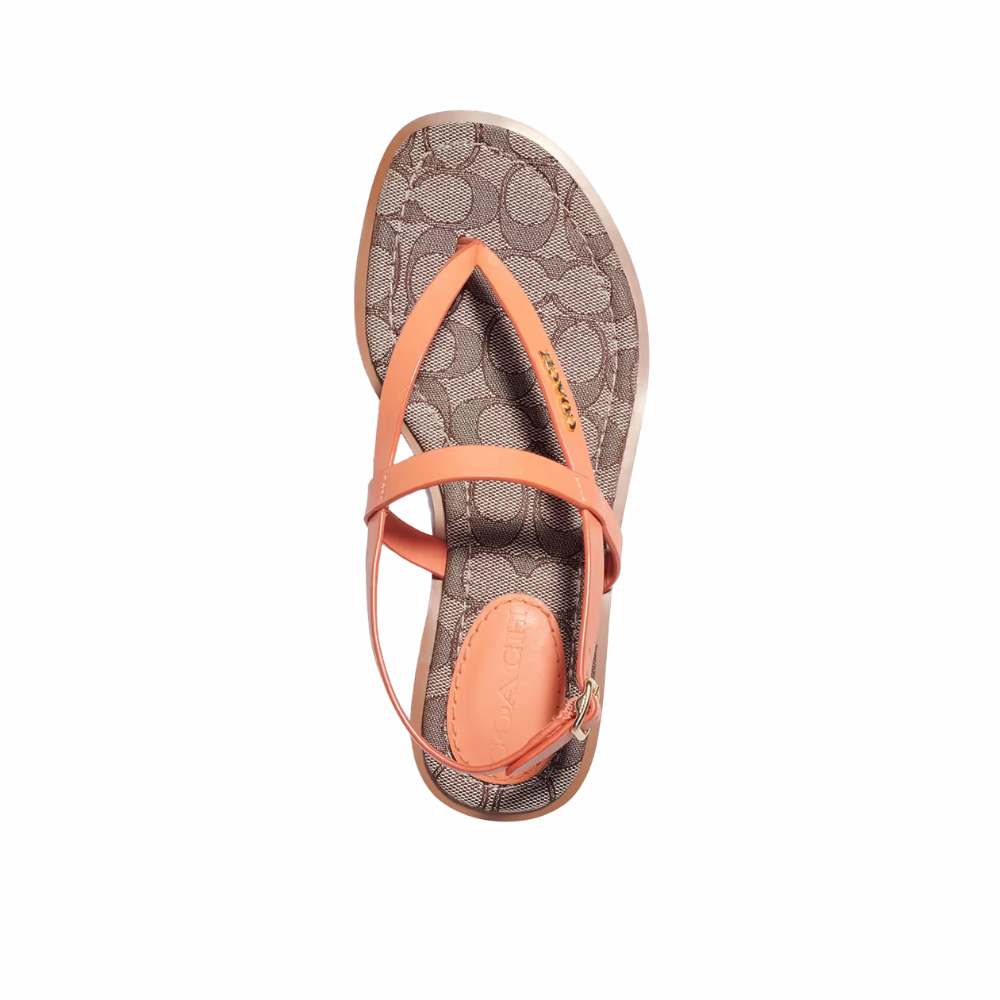 Coach Josie Thong-Strap Slingback Sandals