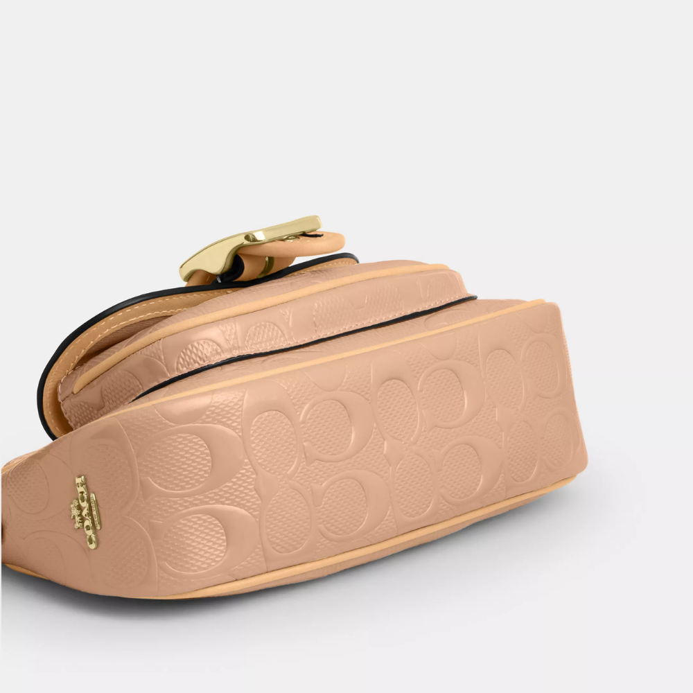 Coach Ashton Mini Shoulder Bag In Signature Leather