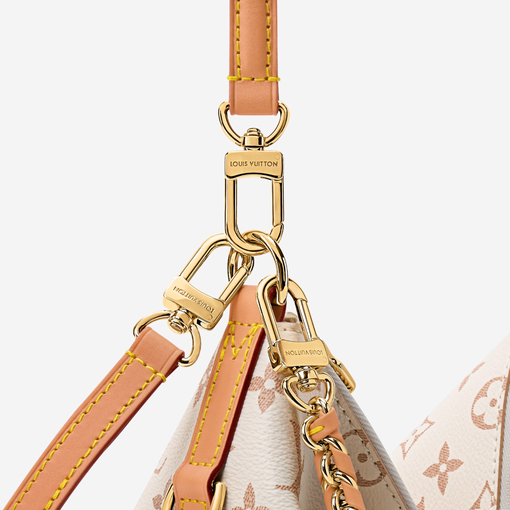LV Multipass Bag