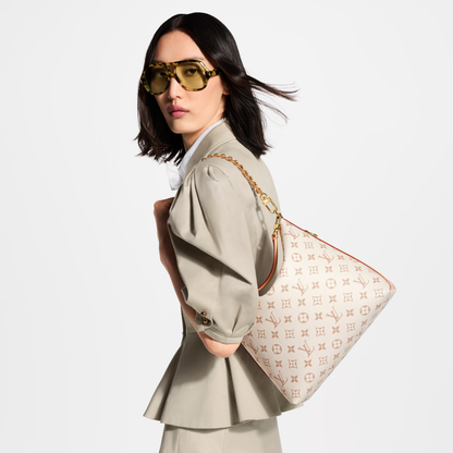 LV Multipass Bag