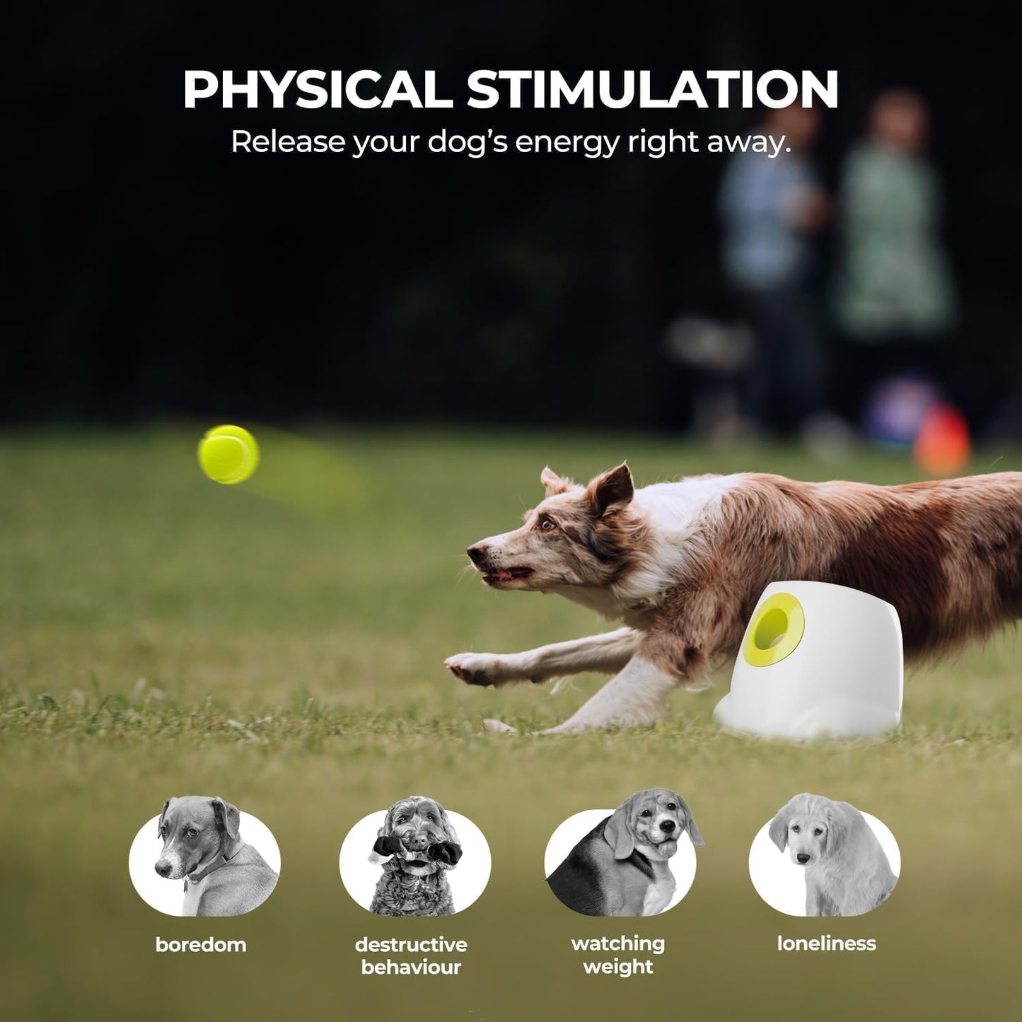 Ashwoods Dog Ball Launcher 2.0
