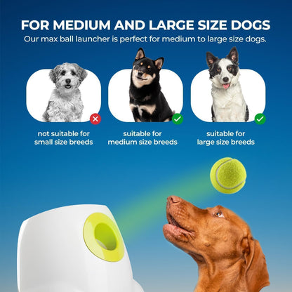 Ashwoods Dog Ball Launcher 2.0