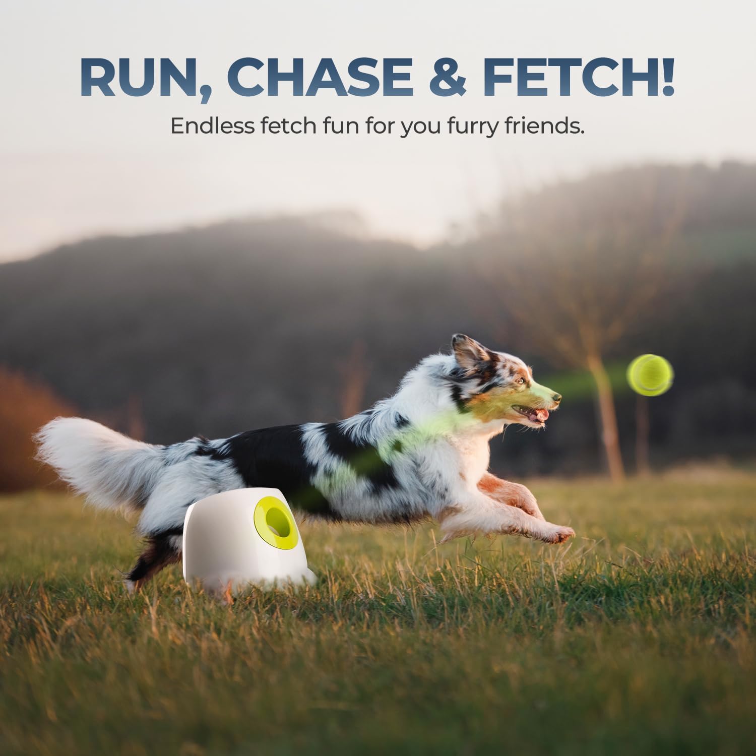 Ashwoods Dog Ball Launcher 2.0