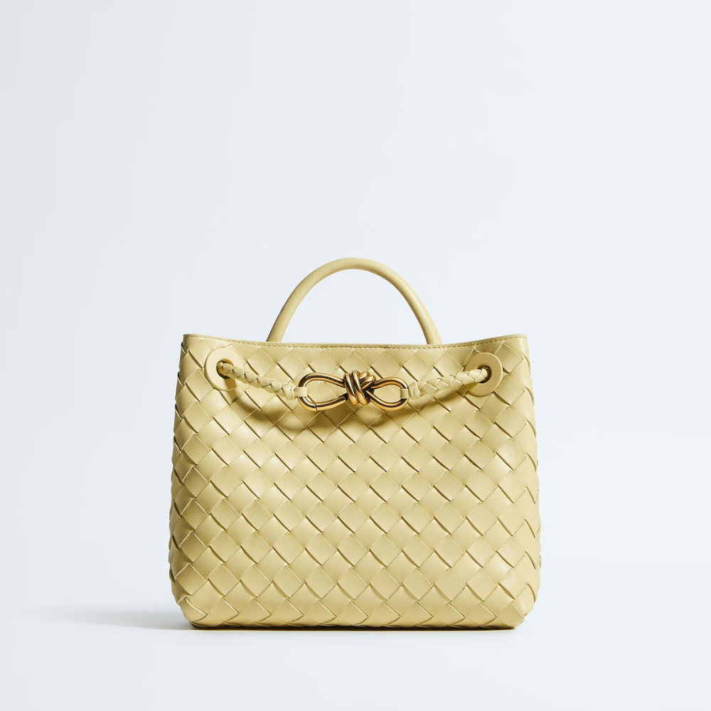 Bottega Veneta - Small Andiamo