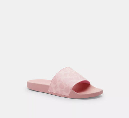 Coach Signature Canvas Slides