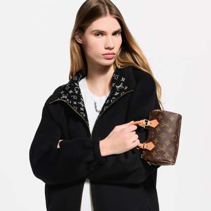 LV Nano Speedy Monogram