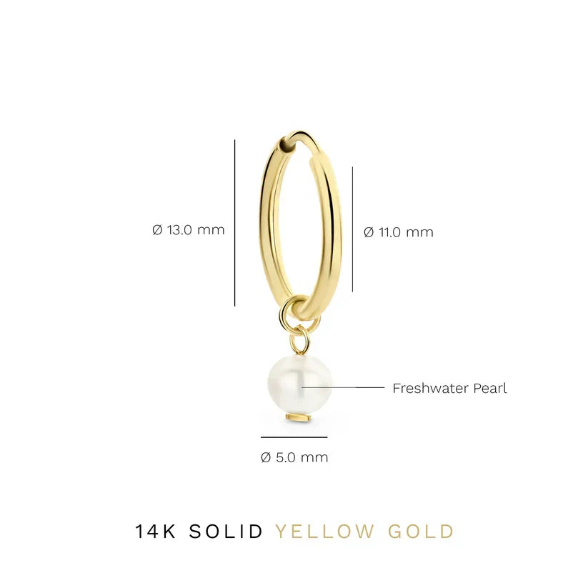 Hoop earrings with crystals | Gold