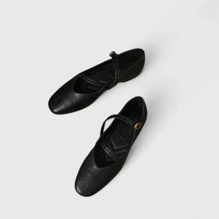 Women's Comfort Flat Shoes in Brown or Black