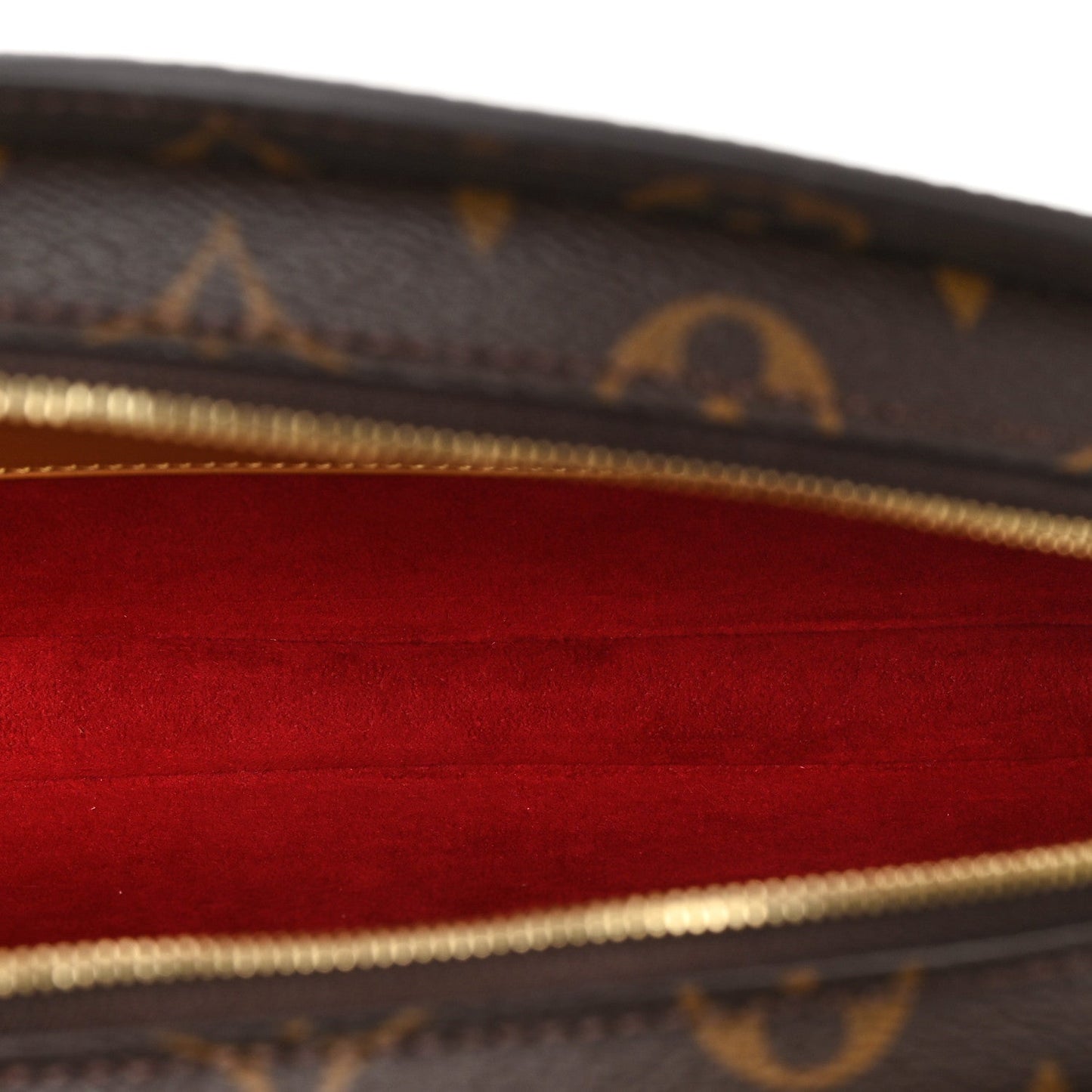 LV Monogram Fan Handbag