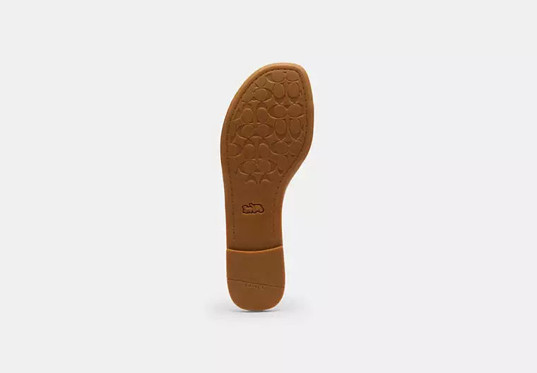 Coach Slide Sandal - Chalk