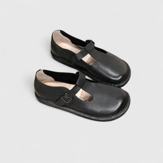 Women's Sophisticated Shoes in Brown and Black