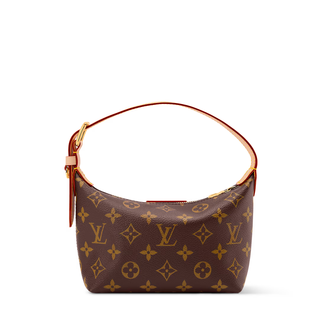 LV Classic Hills Pochette Bag