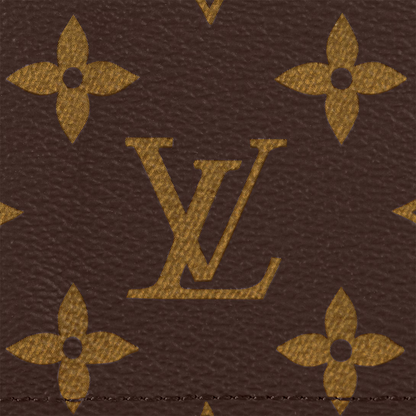LV Passport Cover