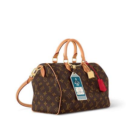 LV Speedy Soft 30 Crafty Bag